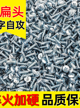 加硬高强度镀锌蓝白色大扁头自攻螺丝十字木牙木螺钉4M5M6厘3包邮