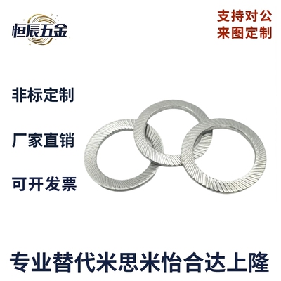 304不锈钢防滑垫圈GTSS自