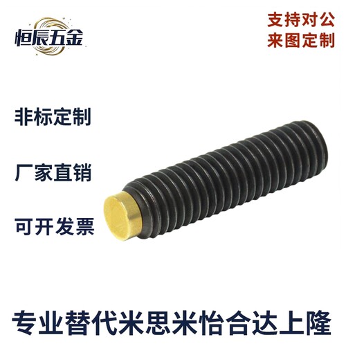 SBCP12-16/20/25/30镶铜止动螺栓 铜头防滑紧定螺栓铜头机米TDA11