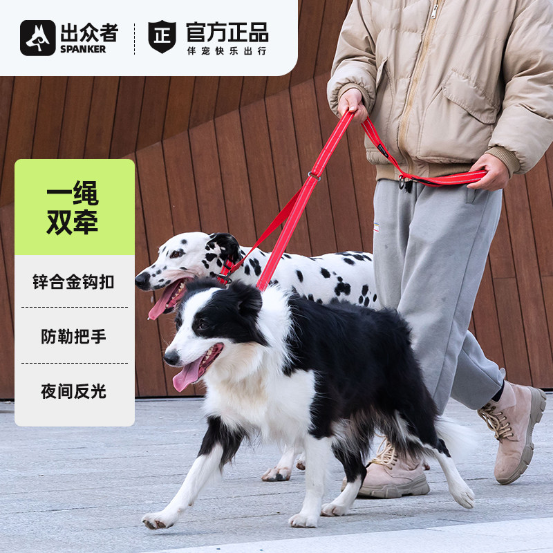 出众者一拖二双头牵引绳狗绳子中小型犬金毛边牧狗炼遛狗牵引绳