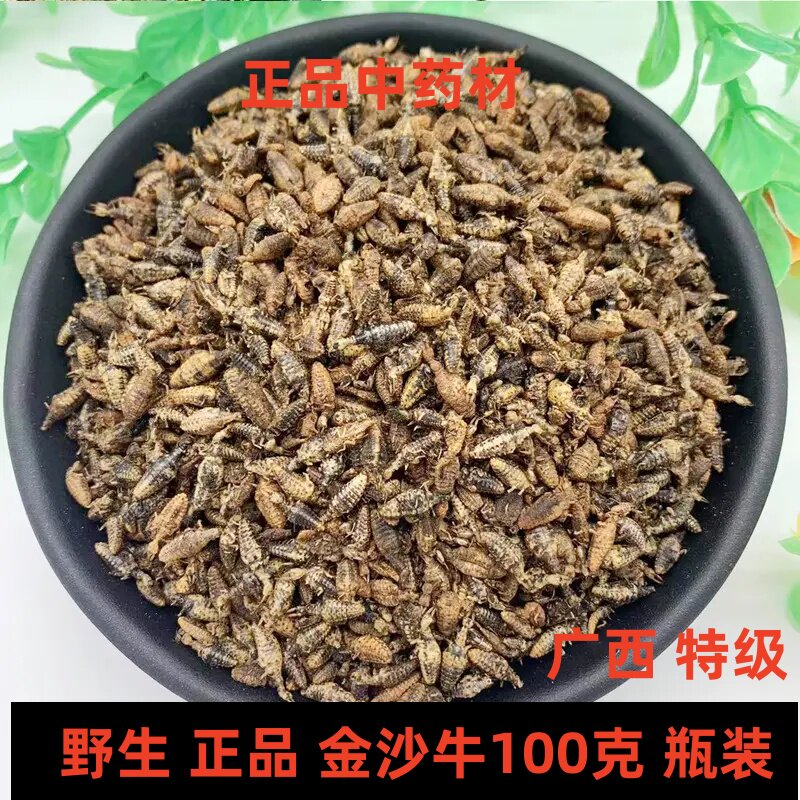 中药材金沙牛正品野生去沙100g广西沙鸡地拱蚁狮特级新货搭金钱草