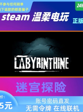 迷宫探险 STEAM正版游戏租号 Labyrinthine 恐怖 在线合作 联机