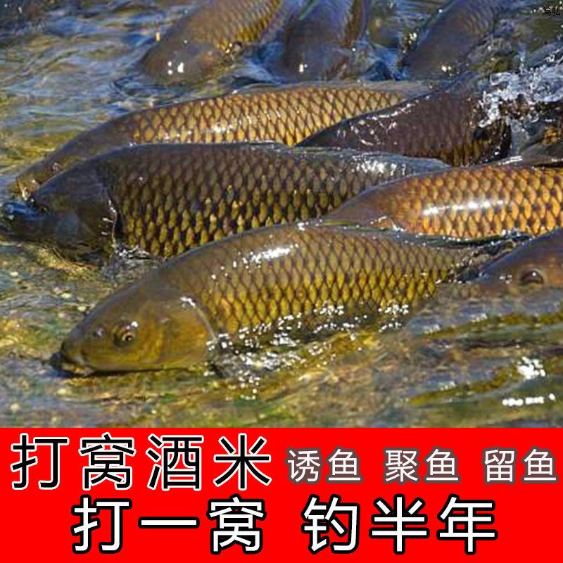 钓鱼窝料鱼饵底窝维它米打窝酒米野钓麝香红虫小药小米碎米窝米料