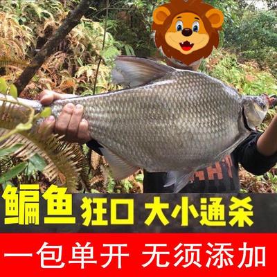 鳊鱼饵料通杀鱼饵大草鳊野钓黑坑草鱼专攻鳊鱼专钓扁鱼大草鱼饵料