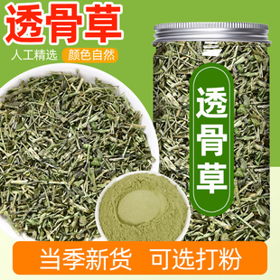 透骨草中药材野生正品新货珍珠透骨草粉枸皮草泡水喝的功效与作用
