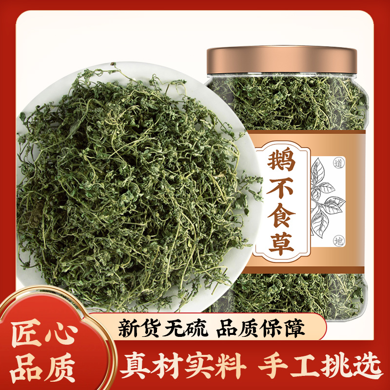 鹅不食草新鲜干货中药材正品