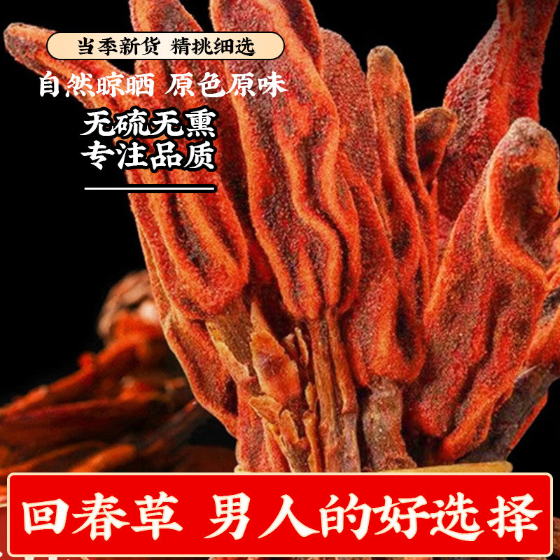 回春草中药材正品云南野生不老草
