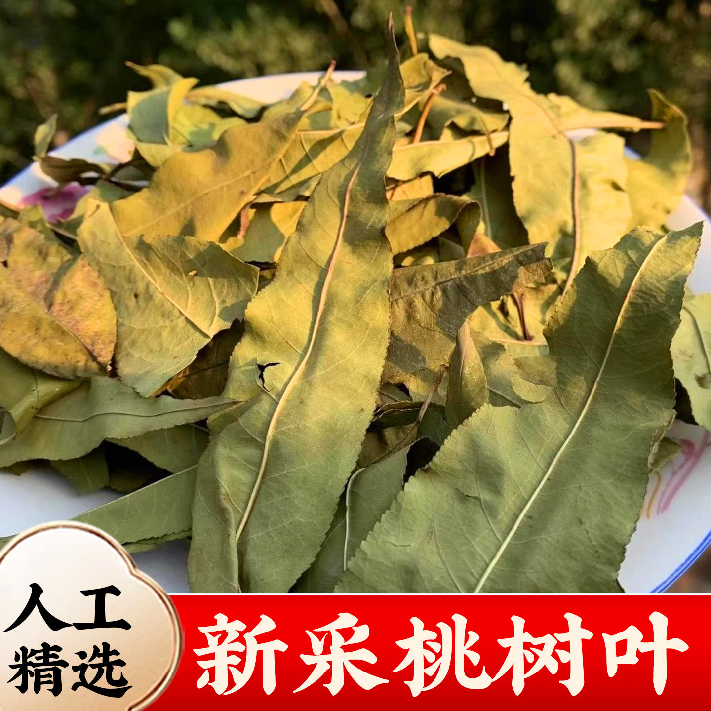 桃树叶子中药材正品500g新鲜干净图片