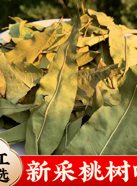 桃树叶子中药材正品500g新鲜干净桃树的叶子搭花椒干姜桃树叶泡脚