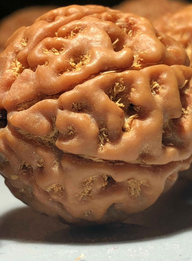 极速大金刚菩提手串男士新籽原籽金刚菩提子佛珠Q手链男女7七8八