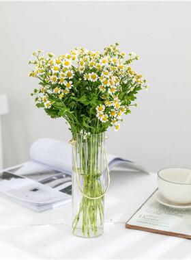 极速日式清新提手玻璃竖条纹垂吊花瓶G桌面鲜花水培绿植样壁挂板