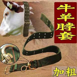 极速牛龙套牛脖套羊犬狗项圈颈脖B子笼头绳拴牛用的皮带养牛场特