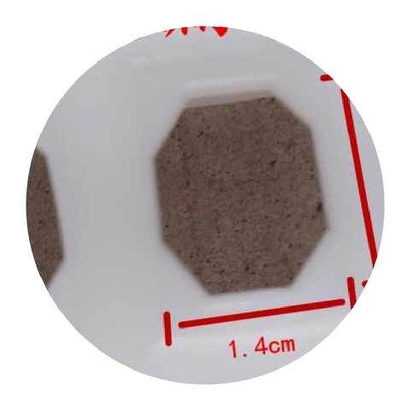 极速养殖鸭舍鸽子床地网网格养殖漏粪网片K鸽子用塑料鸡鹅养鸡鸭