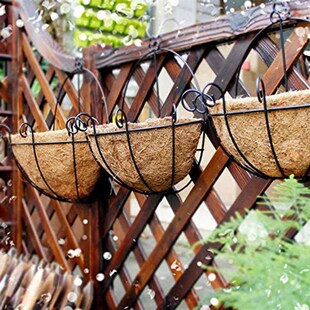 Linetr Fib 极速Half Coco Wall Planter Circle Round Half