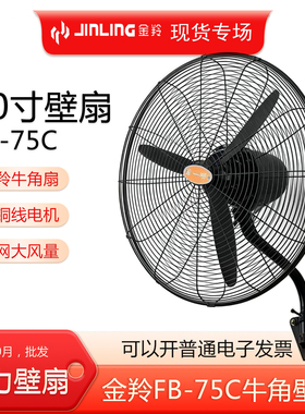 金羚牛角扇30寸FB-75C壁扇 4月-10月强力大电机挂墙工业电风扇