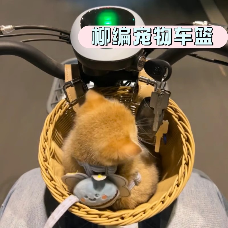 宠物车筐狗狗猫咪外出电动车前置车篮儿童自行车车篓前置款藤编篮