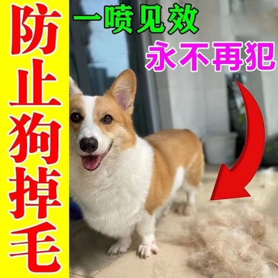 狗狗掉毛专用药防狗掉毛的药猫咪掉毛严重吃什么宠物开结喷雾神器