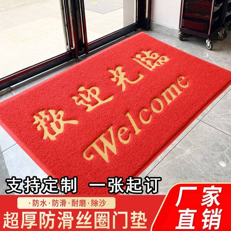 可裁剪塑料丝圈进门地垫门垫家用门口入户门防滑地毯电三轮车脚垫