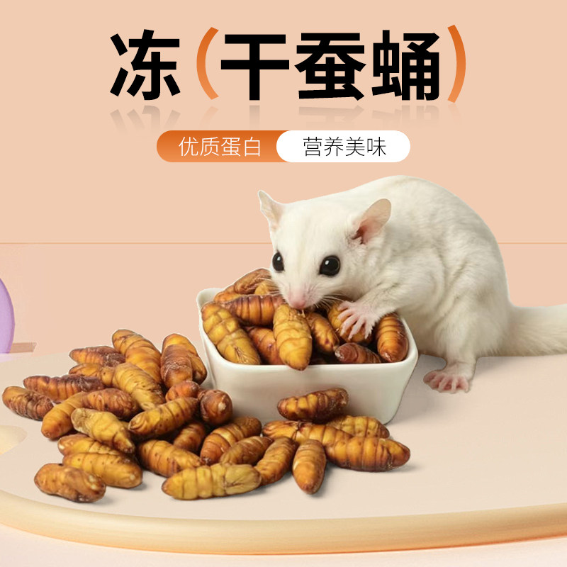 蜜袋鼯仓鼠冻干蚕蛹零食互动食物