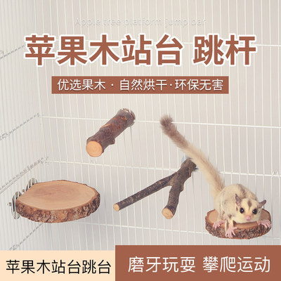 苹果木枝叉跳台树桩吊桥楼梯蜜袋鼯龙猫磨牙仓鼠玩具松鼠玩耍用品 哆瑞恩旗舰店 淘优券