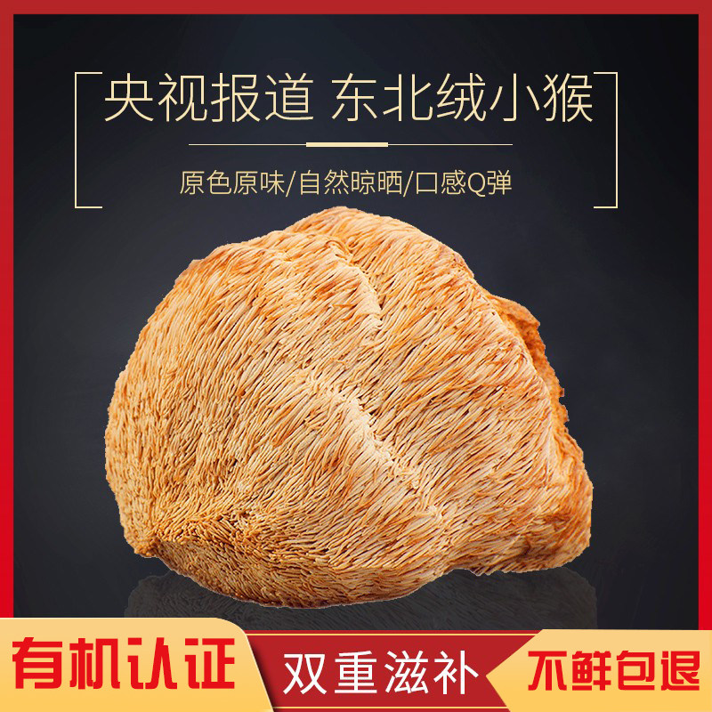 有机猴头菇新鲜干货长白山
