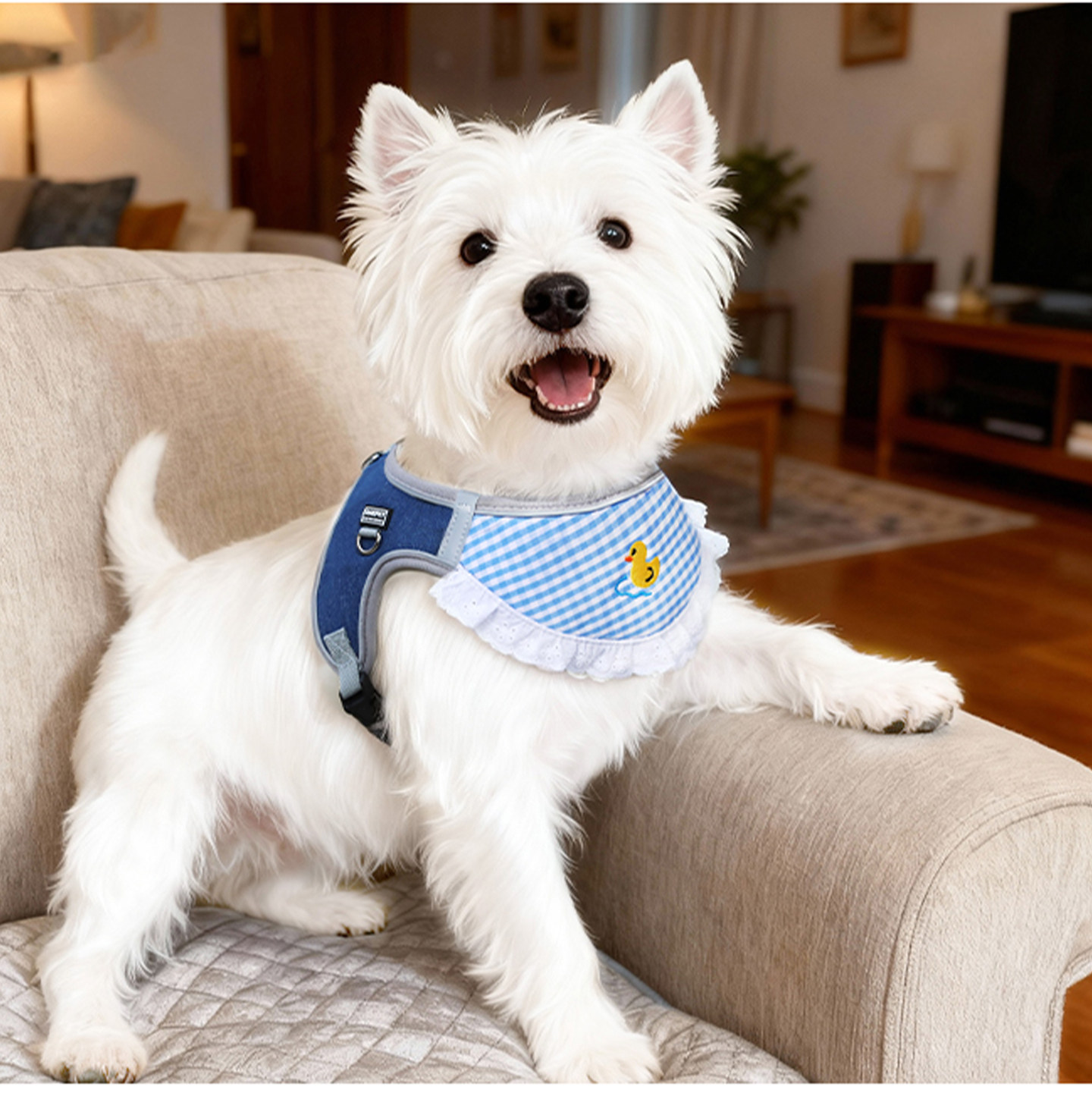 狗狗胸背带中小型泰迪比熊柴犬宠物专用牵引2026新款防挣脱口水巾,宠物/宠物食品及用品,围巾/口水巾,淘宝优惠券,粉丝福利购,淘宝优惠卷