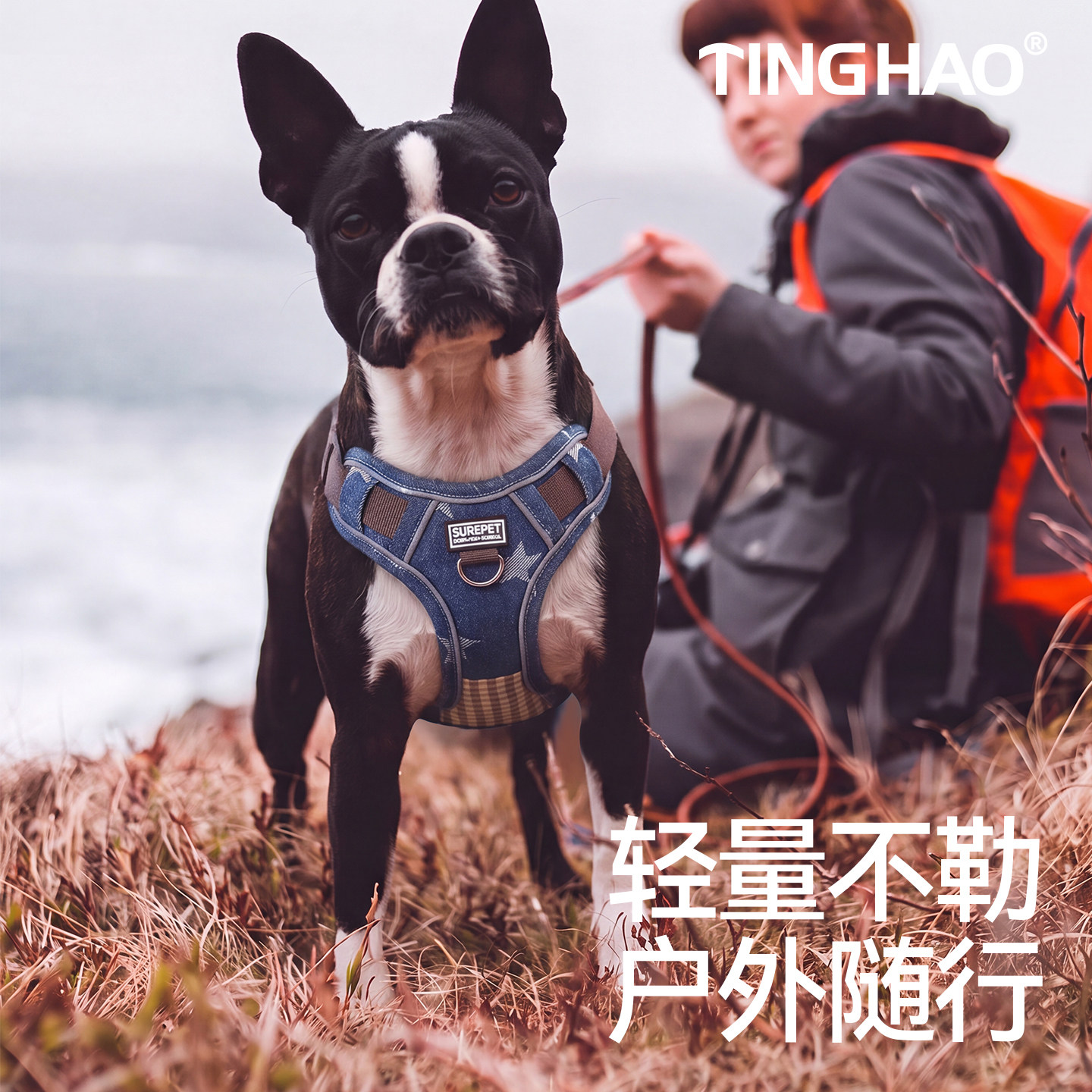 防止爆冲&户外出行遛狗牵引绳