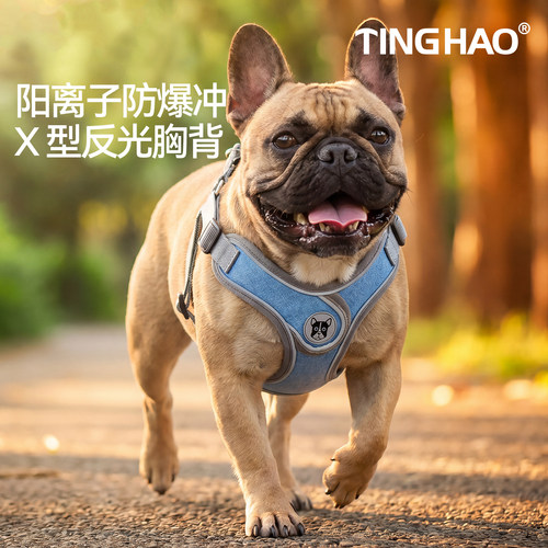 背心式狗狗牵引绳泰迪柯基比