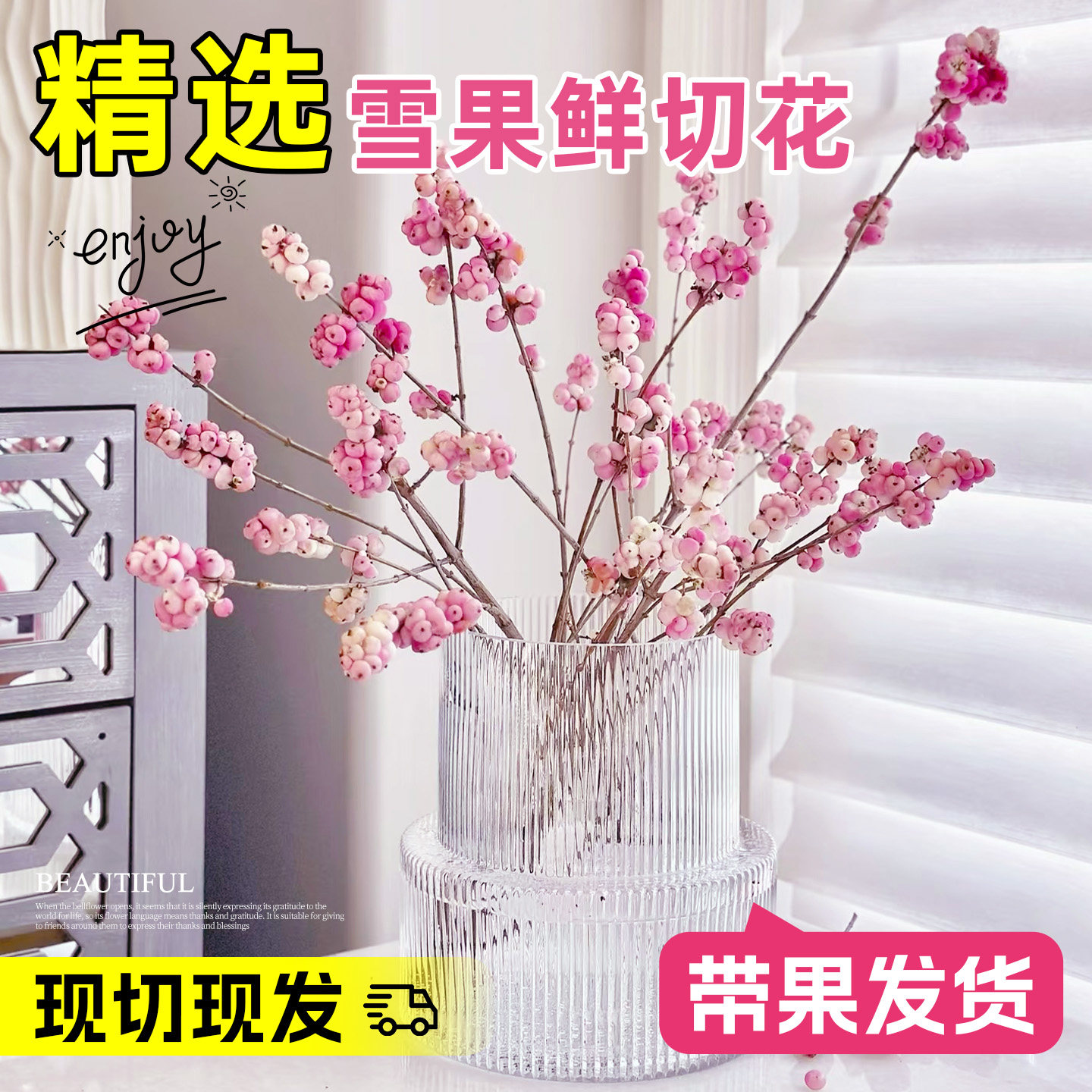 雪果鲜切鲜花客厅绿植阳台花材