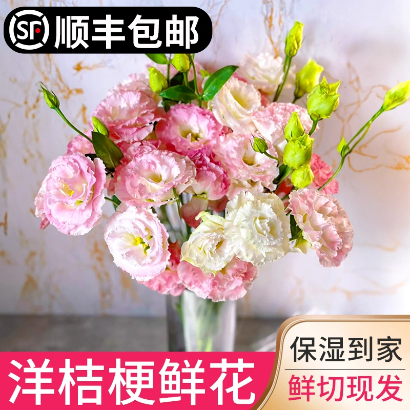 洋桔梗鲜花花束云南基地直发同城速递重瓣紫色家用水培养插花真花