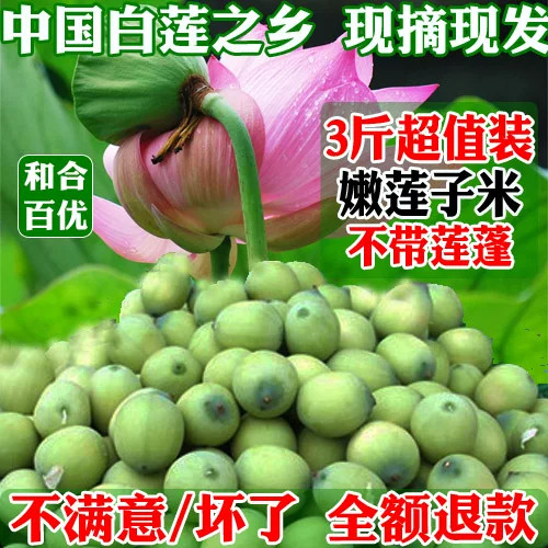 3斤现摘新鲜莲子嫩青莲子新鲜