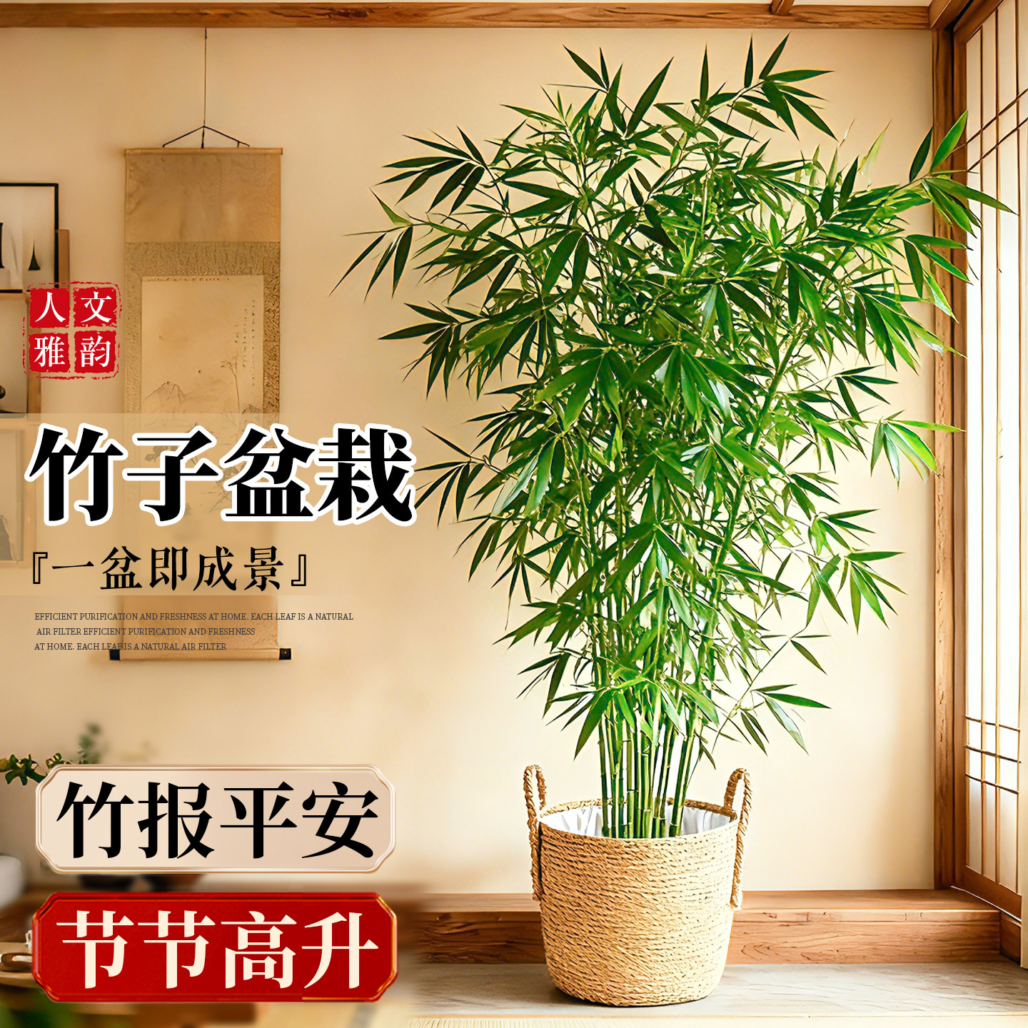 竹子盆栽室内大型绿植高级感客厅