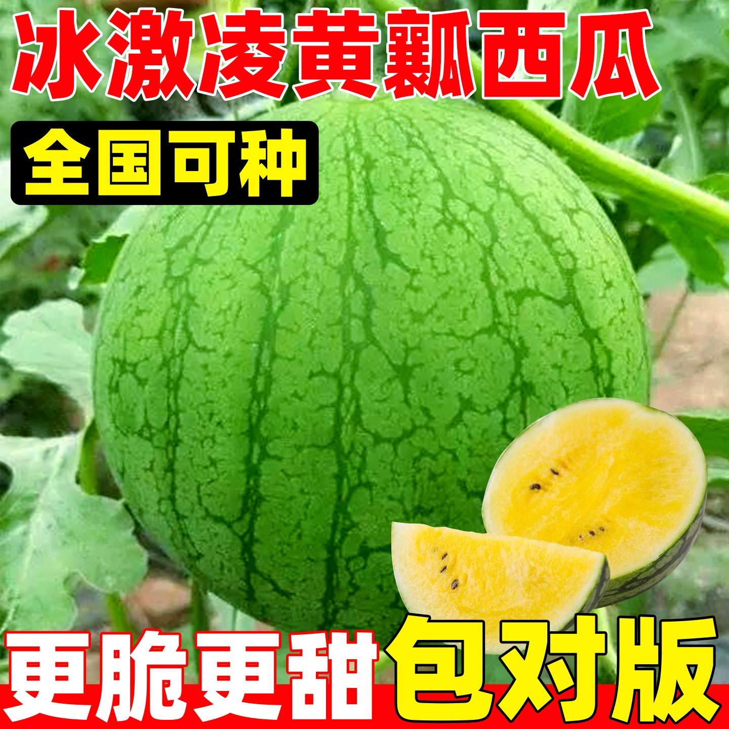 冰淇淋黄壤西瓜种子薄皮早熟超甜特小凤8424西瓜种籽高产四季水果,鲜花速递/花卉仿真/绿植园艺,家庭园艺种子,淘宝优惠券,粉丝福利购,淘宝优惠卷