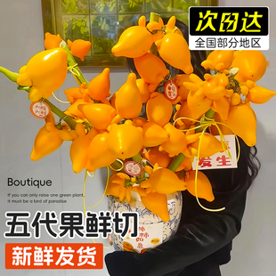 五代果鲜切五代同堂黄金果家用插花鲜花真花绿植物招财旺宅真花卉