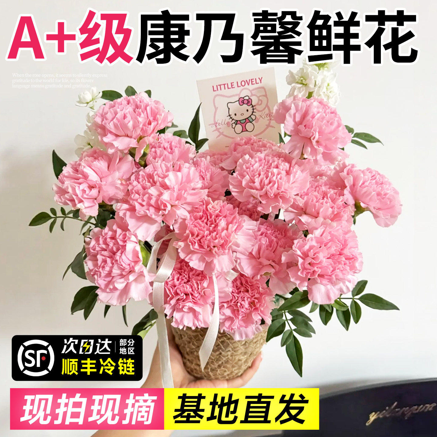 康乃馨鲜花云南基地直发顺丰次日