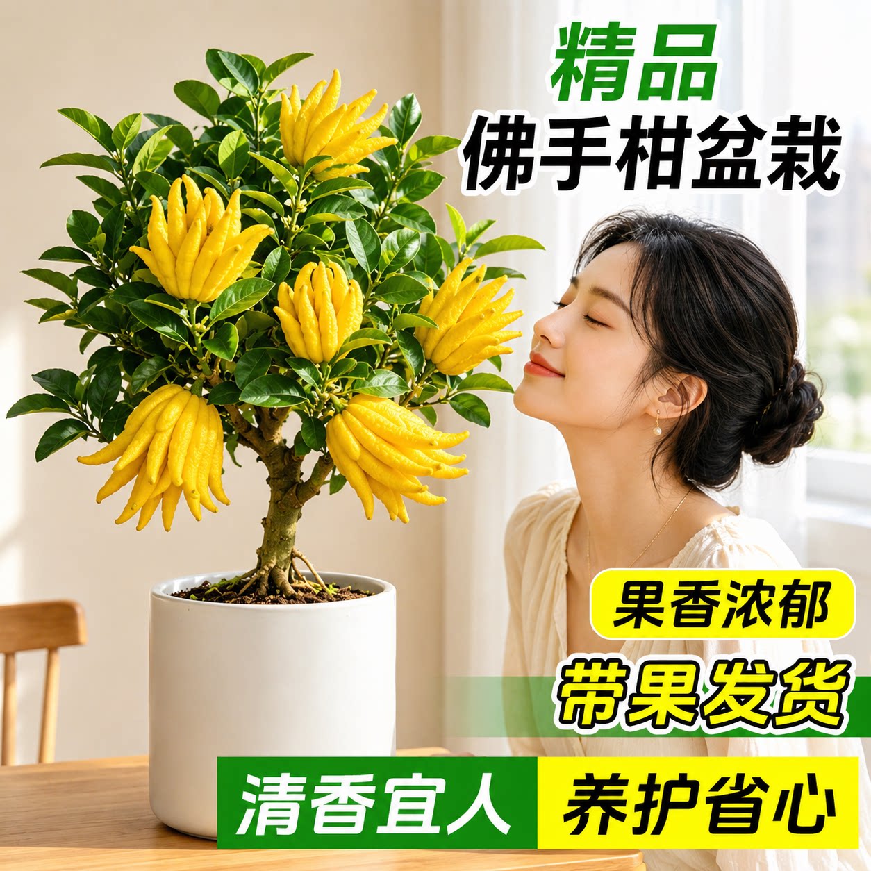 佛手柑盆栽树苗带果可食用金华阳台客厅观赏闻香招财植物绿植花卉