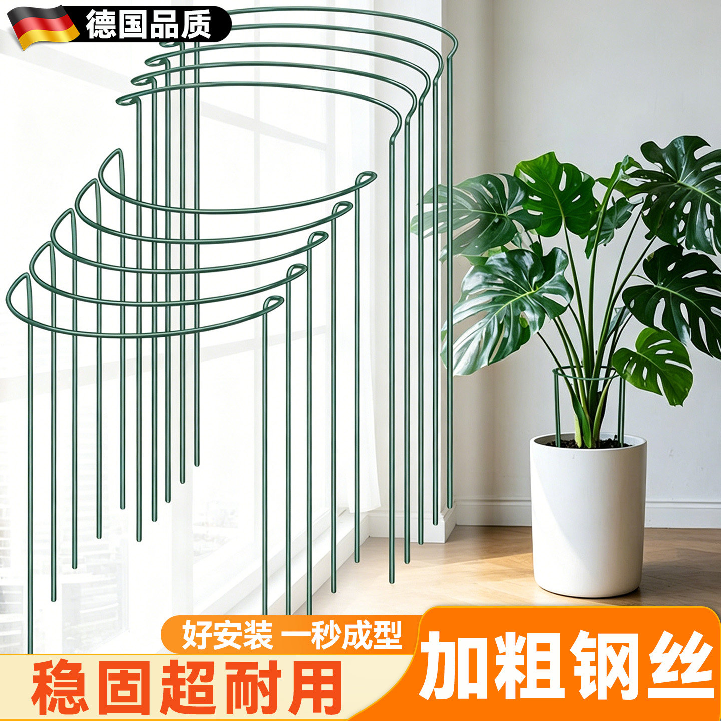龟背竹支撑杆植物固定支架金钱树图片
