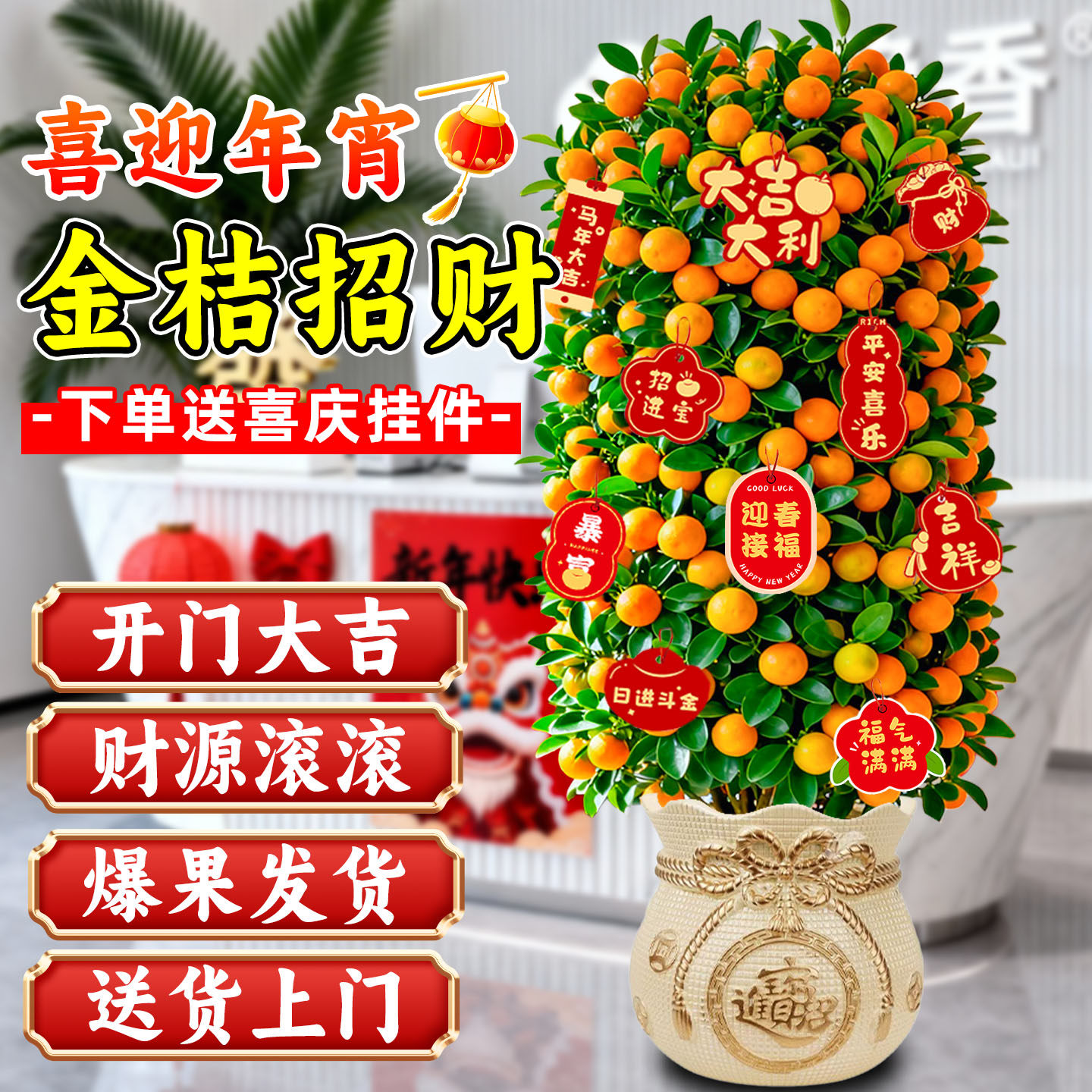 金桔树盆栽四季可食用客厅带果