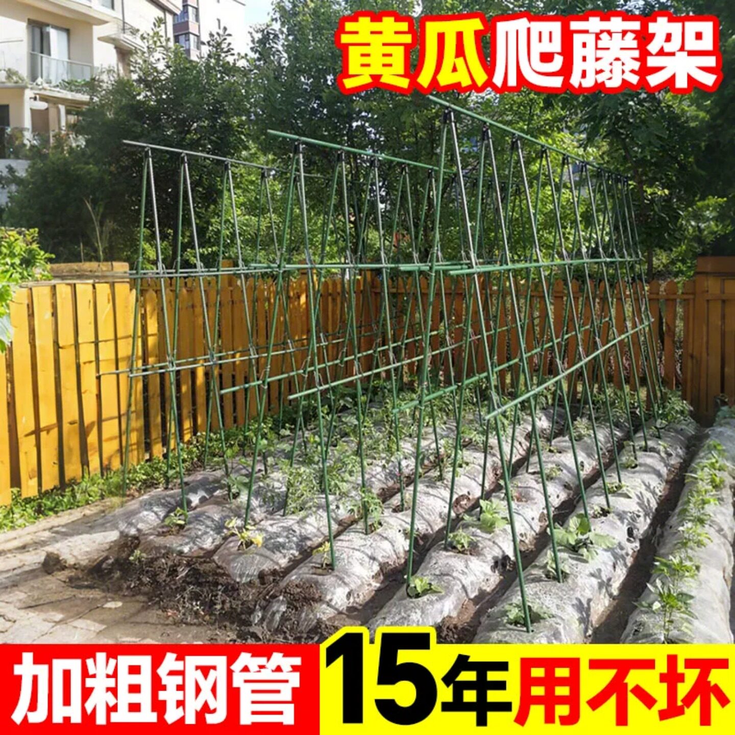 室外黄瓜爬藤架菜园架植物攀爬架图片