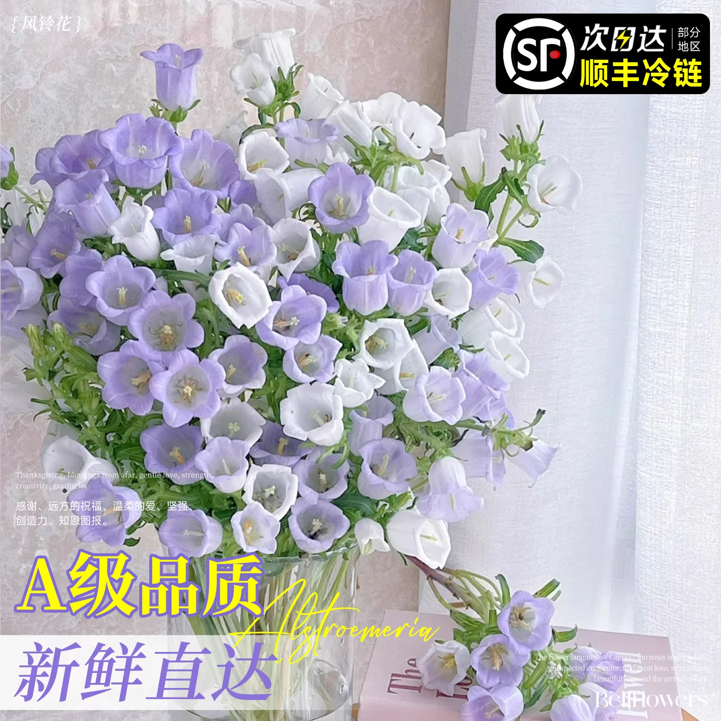 风铃花鲜花水培云南基地直发鲜花