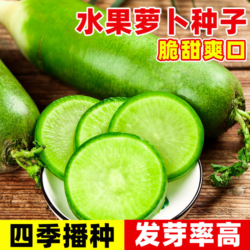 水果萝卜种子沙窝籽凤梨冰