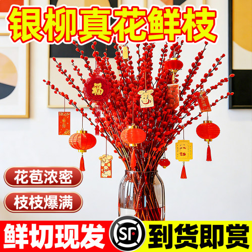 银柳鲜枝真花新年红福桶招