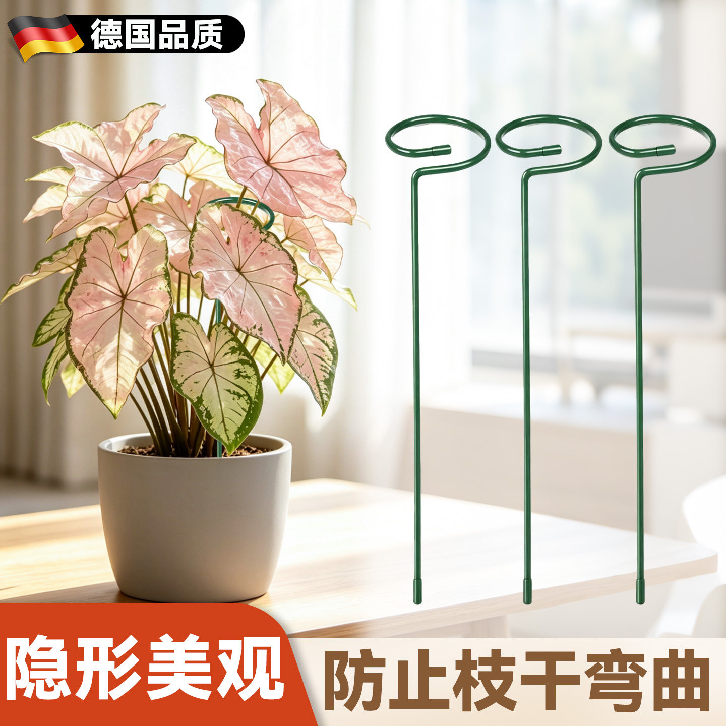 彩叶芋支撑杆绿植固定支架园艺花图片