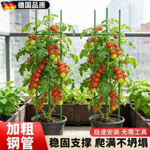 西红柿专用架子番茄支撑架盆栽黄瓜西瓜爬藤架阳台种菜固定支撑杆