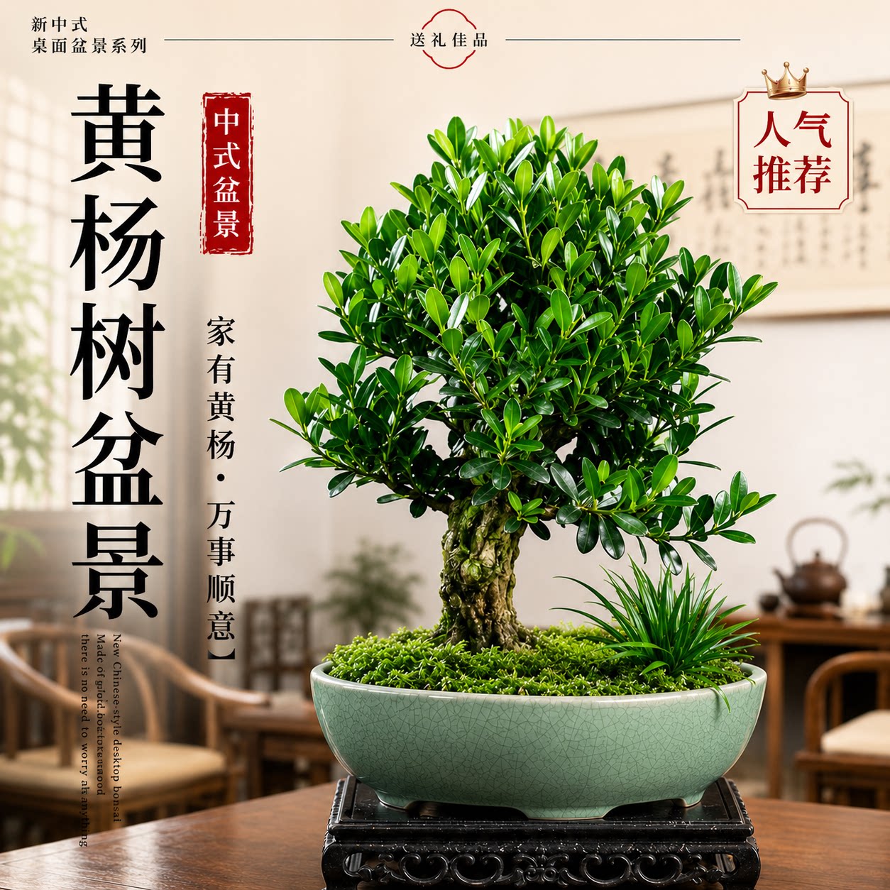 黄杨矮霸桩盆景小叶皱皮造型老桩图片
