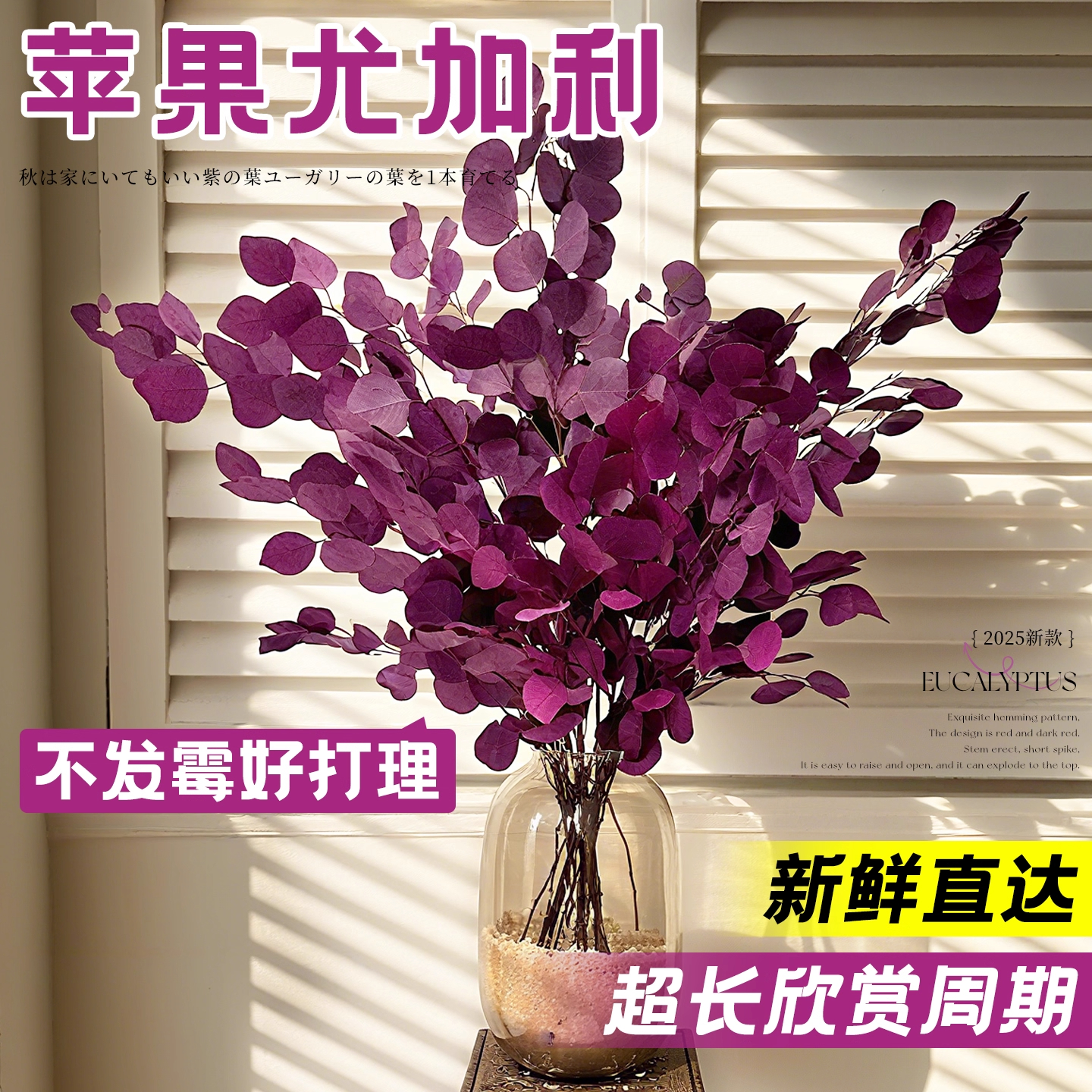 苹果尤加利叶永生花高级感真花客