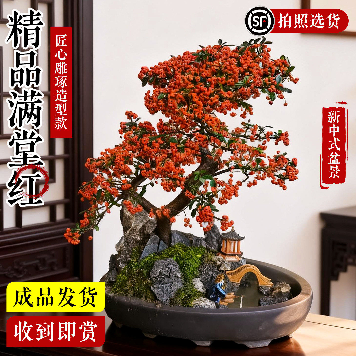 精品满堂红老桩盆景新中式