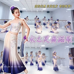 水之灵舞蹈服彩云之南演出服傣家的小妹走过来表演服装包臀鱼尾裙