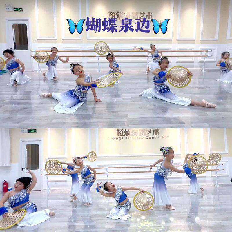 蝴蝶泉边舞蹈演出服孔雀舞儿童傣族舞蹈服弹力鱼尾裙民族表演服装