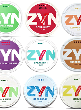 瑞典新款ZYN口含袋薄荷水果味旅行便带飞机高铁snus zyn口含袋